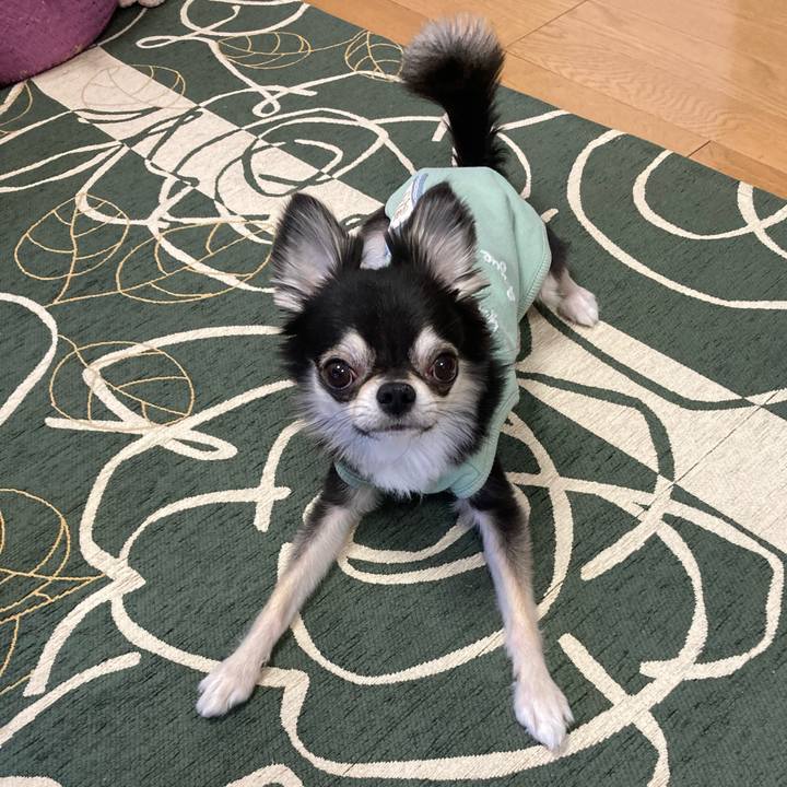 95eb4ae5 75a9 44c6 a413 28d3cbf59d91 1645937511765