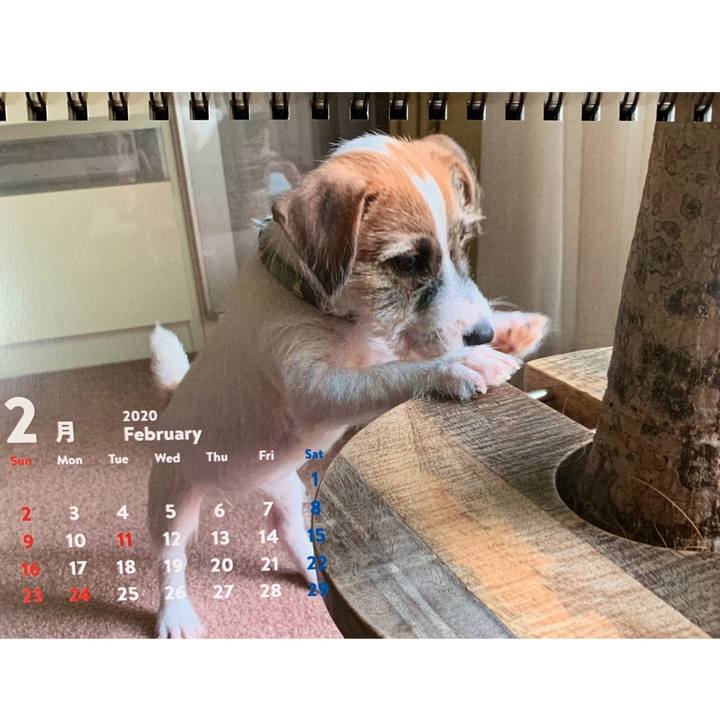 95eb4f8c 4992 439e aa44 f3a39faeee06 1583024955463