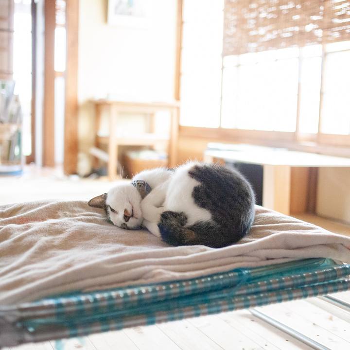 95eb69b7 dc6f 48e1 9a61 a160296f0782 1571115042988