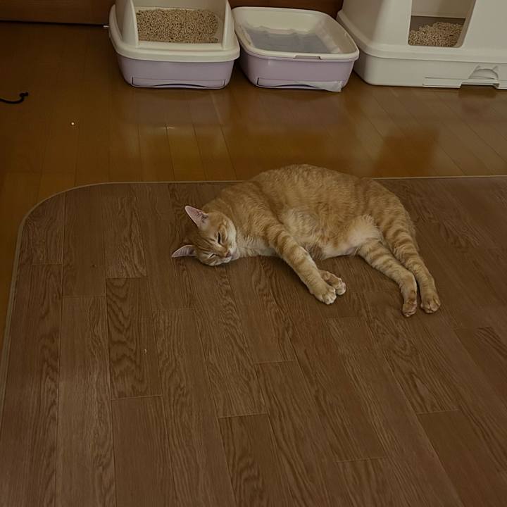 95eb7c50 9961 45b6 b01e 560eadd37240 1675086901775