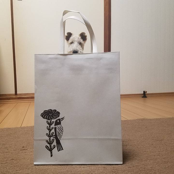 95eb7ebd a6b1 46a8 b945 14af5e1d0bbc 1558104086225