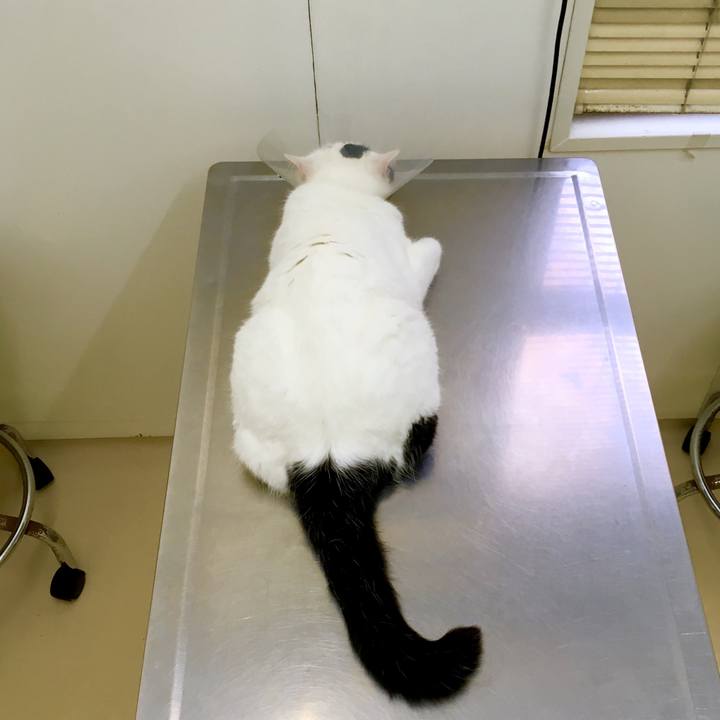 95eb9cdb eb2e 4f9f 8734 7c622dfefb67 1567577181653