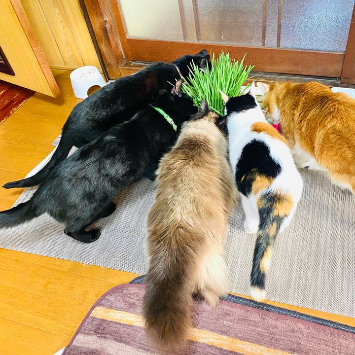 95eb9d28 504e 46e5 b001 c9a8c4f3bf01 1749029874455