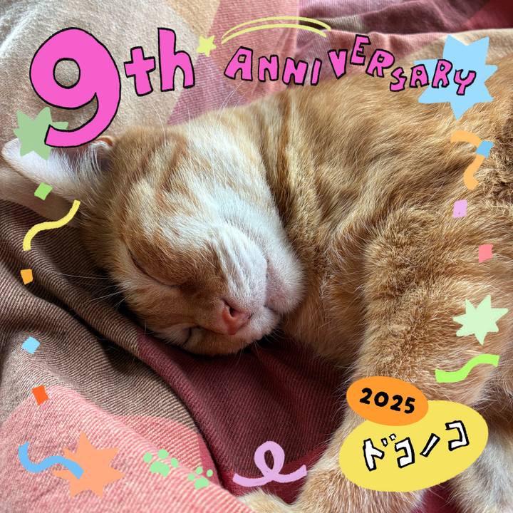 95ebcb14 7ed9 4e19 951c 728feab2ec3f 1749263794371