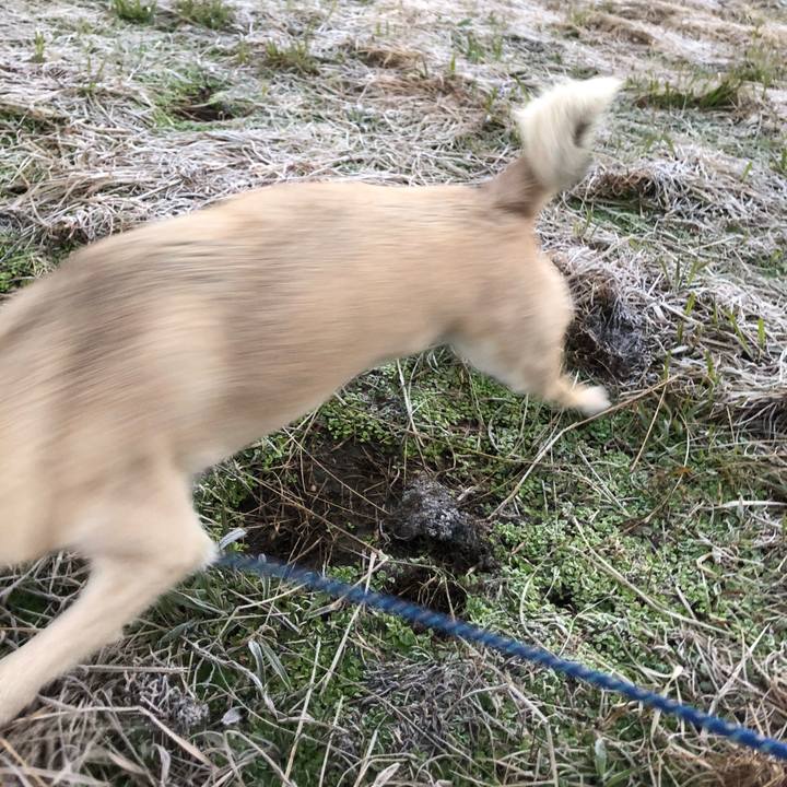 95ebe5b1 0452 48cd 9ca8 e104e09ebf96 1577538965204