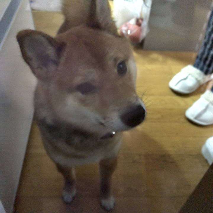 95ebf066 59b6 4531 a248 9729cb69cce4 1519812956234