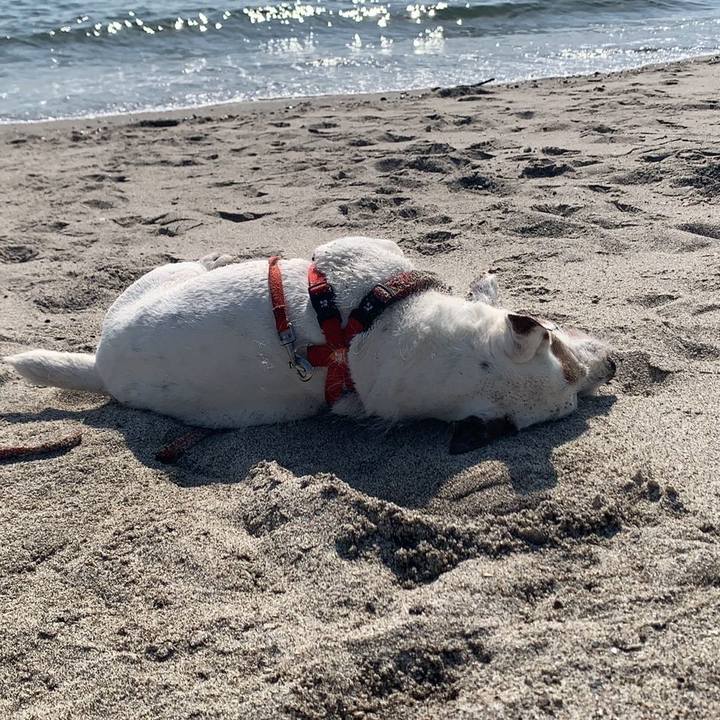 95ebf7bc 6474 4912 a23b ae351ae55a20 1586477189026