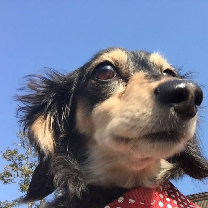 95ebfa70 8f3a 4b46 98da 4ee4c2c1ce9c 1519605850964