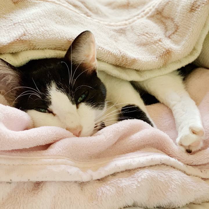 95ebfd2c 3239 494b b160 0561540d43d9 1542160967457