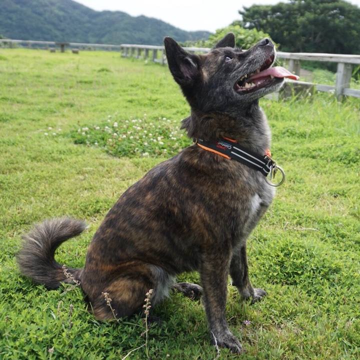 95ec1e23 d66e 4296 8994 a6034afd5318 1531181158321