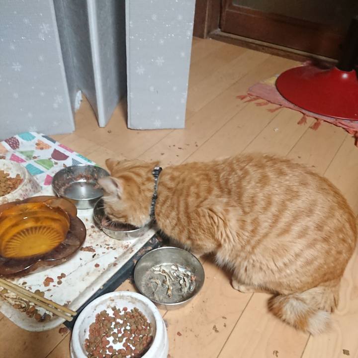 95ec4246 abe0 4bc4 a289 c0e881aea048 1649970984789