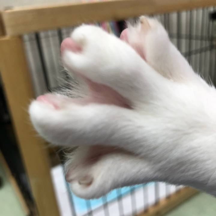 95ec79f8 db5e 4325 9d83 8279cf6f07e7 1514246581534