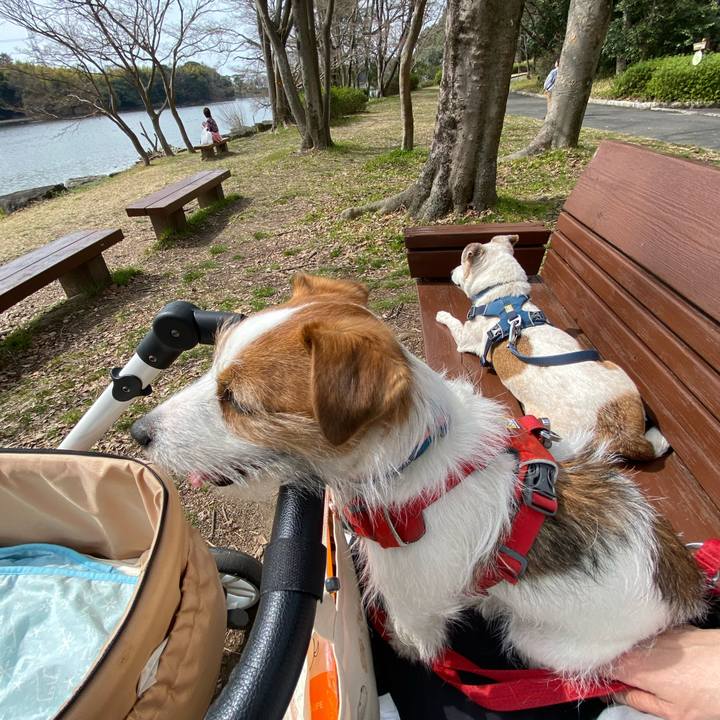 95ec987f 3619 4430 89b5 648a30ba347f 1678594752110