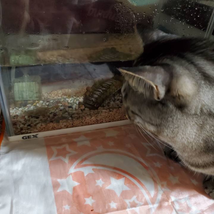 95ec98b9 df86 4b23 ab97 88a9e50abc7e 1713234464987