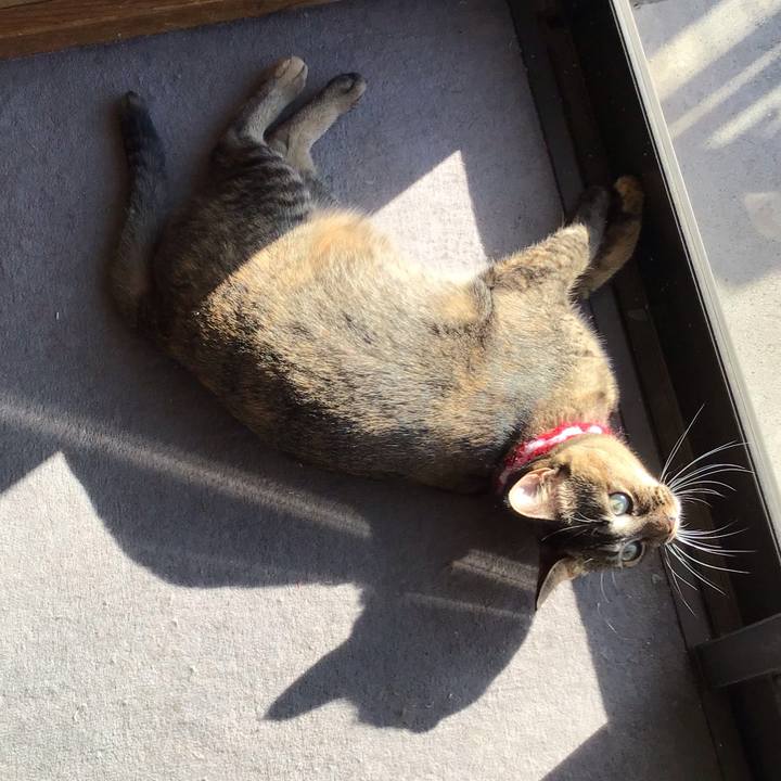 95ecd8b6 56f5 420f af67 511d2fcb07a8 1605315595032