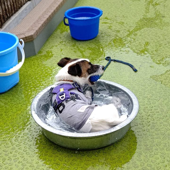 95ecf25c 20e5 416c a8d7 a8ca6efb555f 1626235094256