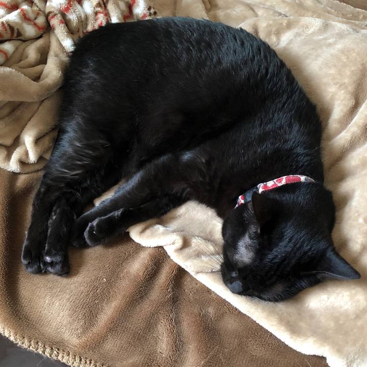 95ed0098 a8a9 4d5a b5e1 5947c0ecd0ff 1594440499177