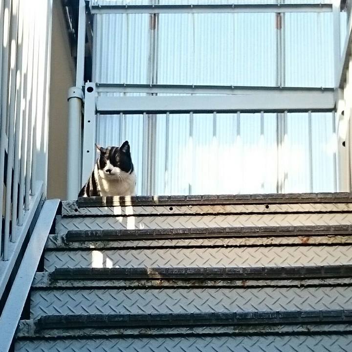 95ed0992 6637 4df7 98b1 6bc8d07d7adb 1518566385038