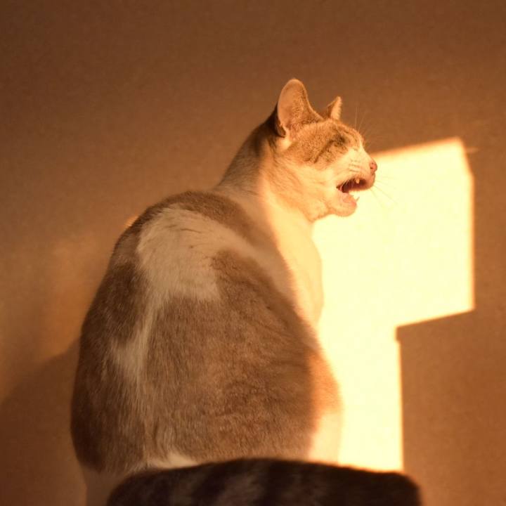 95ed3fe3 c8e3 49f6 a3ec 29f5110e405c 1547801670319