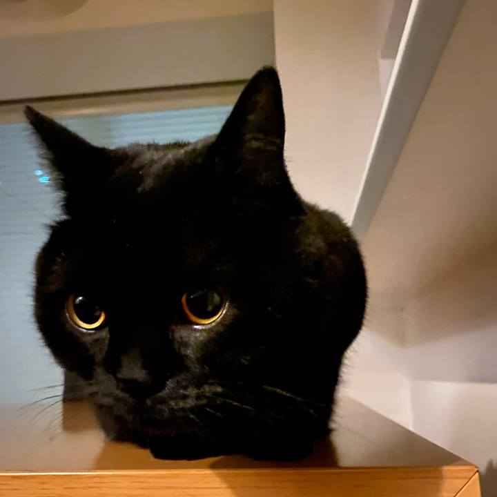 95ed4f6b b96b 4ce9 8135 cf4fbe717f65 1638866036263