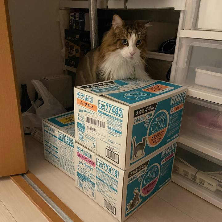 95ed567b 8608 4149 9aa8 c07c16eb2a51 1751578275668