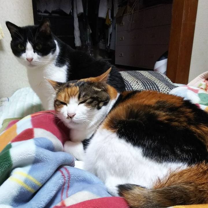 95ed5899 7b9d 4d48 bf43 f3ace5fef058 1540244273995