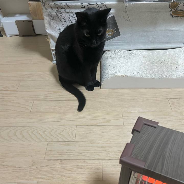 95ed58b3 5d98 4e34 9d27 badfcd716134 1737035863203