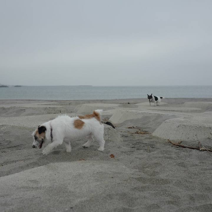 95ed8436 3b06 43dc a2bc 736970605999 1524457767158