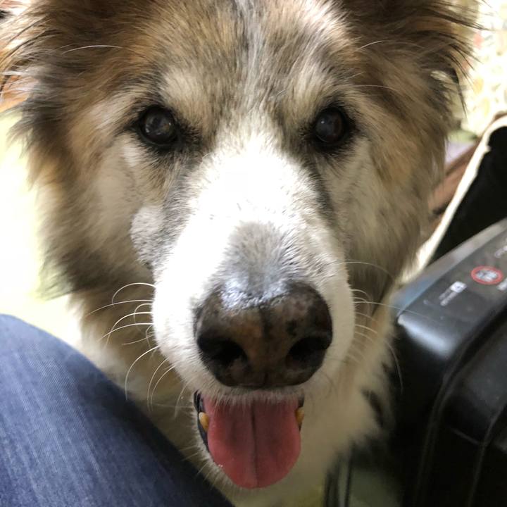 95ed9079 d526 43df 92d7 1281e8d270b5 1513931564627