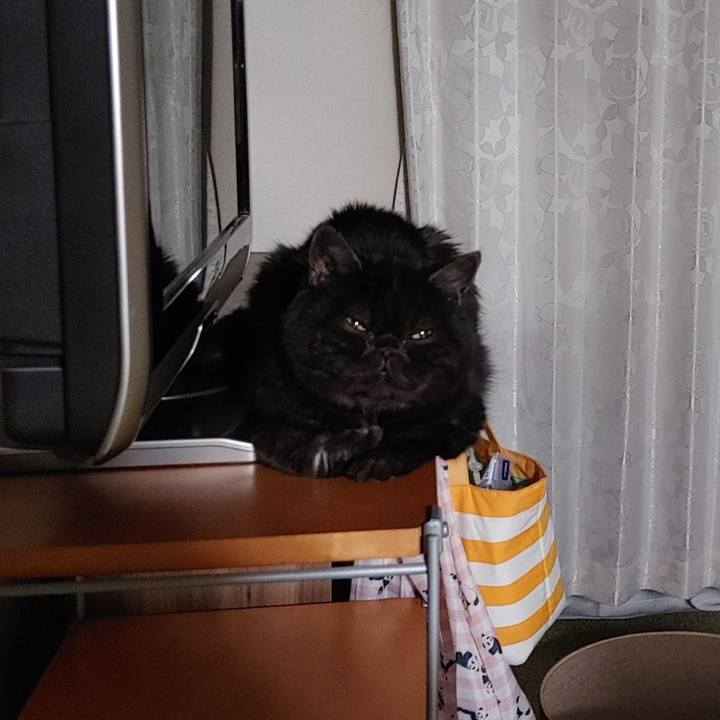 95edc210 05d4 4a35 8fe1 13f03bf3f645 1646735634362