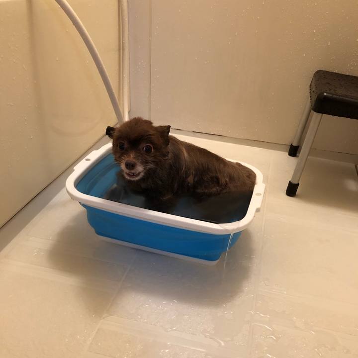 95ede3ee 513b 4407 8b74 f26265cadaea 1541297034649