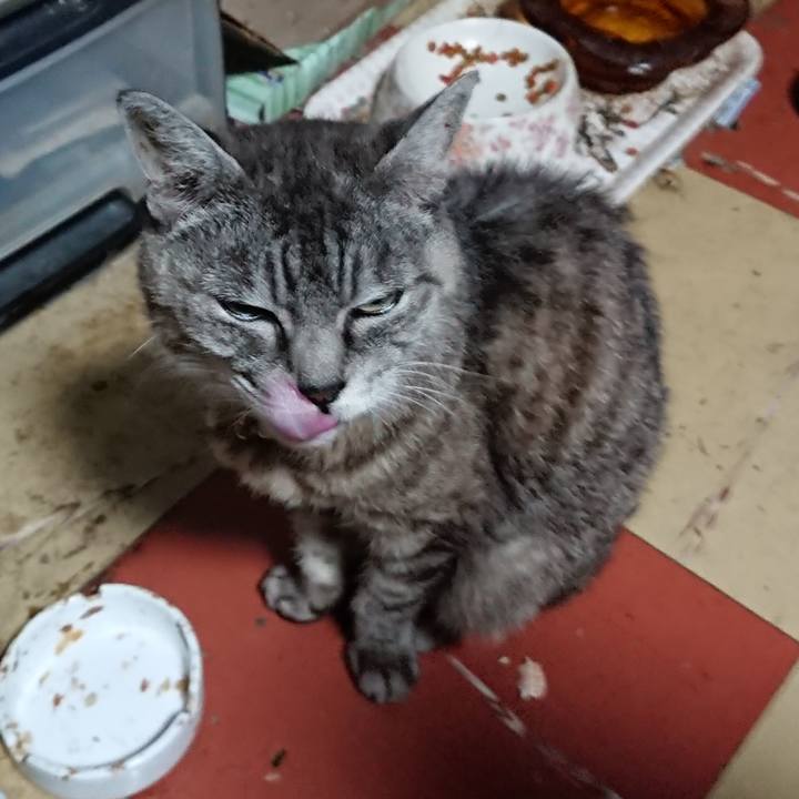 95edfb9b 487a 4c9f a908 ad67d0cb091e 1569096284783