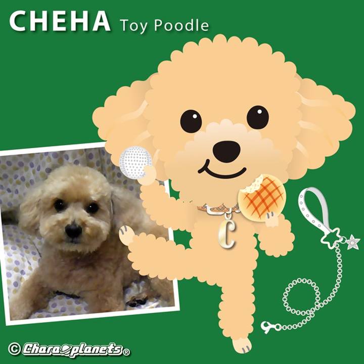 95ee16ce a199 44d8 95ee 781d5103cc09 1557805833101