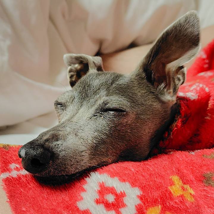 95ee5639 dbc2 4ade bcea 795e6912d075 1760788032740