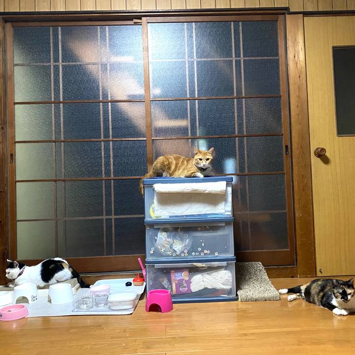 95ee6d56 ce5f 4dd5 9a51 3eed67281747 1659387917190