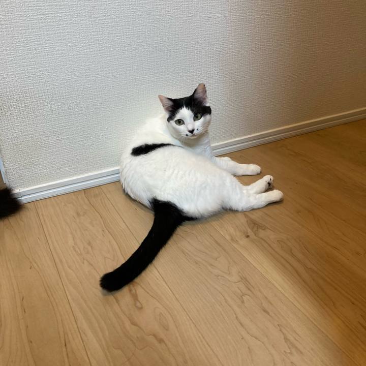 95ee74a3 4341 4544 ba13 99d9b34764e7 1756930689342