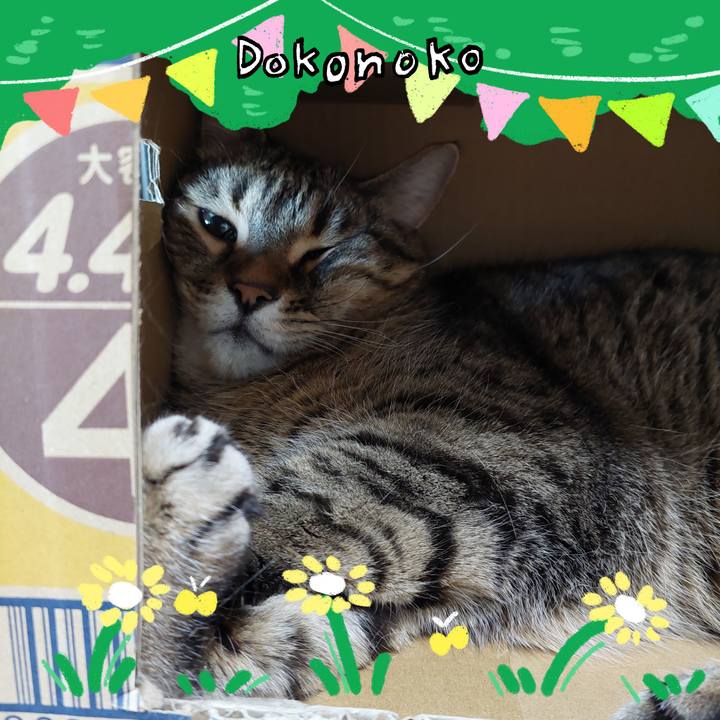 95ee7c9d 2d38 40ab ad66 79892f8fd2f5 1711059365261