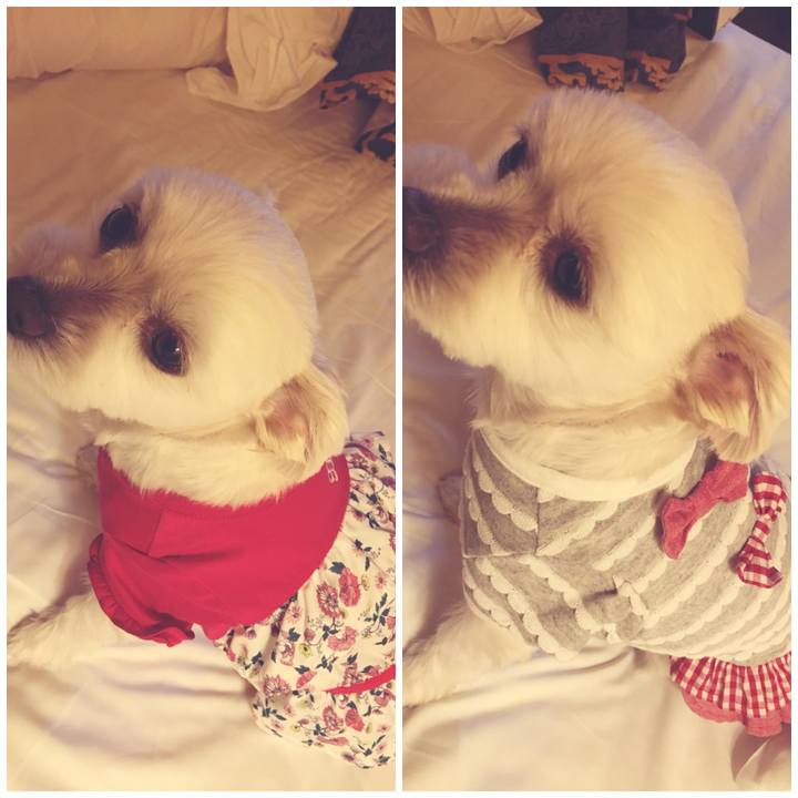 95eedd8d 1b5f 42e6 a8a2 f7a2fff7943b 1511993445837