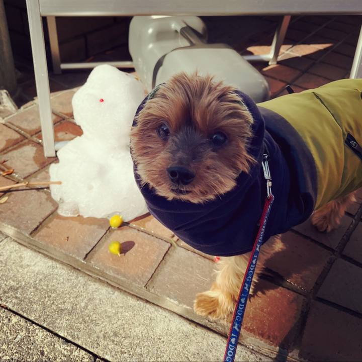 95eee554 2919 4e41 a490 c8bb72656bb5 1641613657646