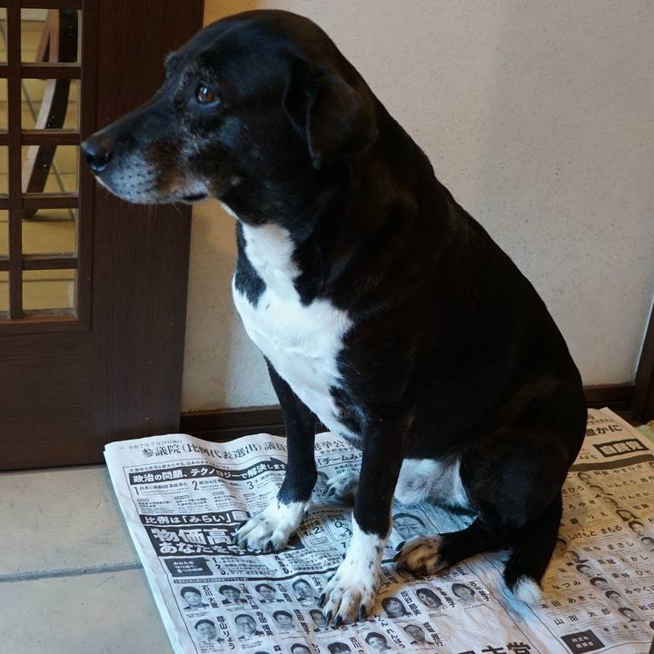 95ef48be f315 41d3 9c14 2f1a36ffd9f7 1766711257605