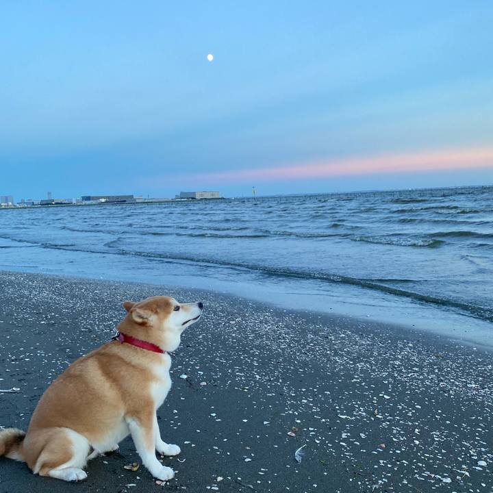 95ef54d7 7883 48fb b835 53db8d416dc6 1598788497319