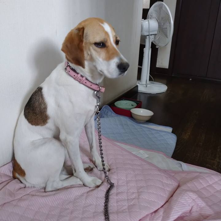 95ef675b 3474 46e2 99d9 d91bdff904be 1593934014862