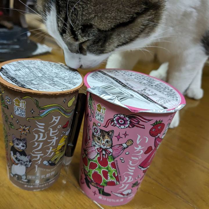 95ef7da4 e62a 4ee9 9568 28c25672bb7d 1710422970623