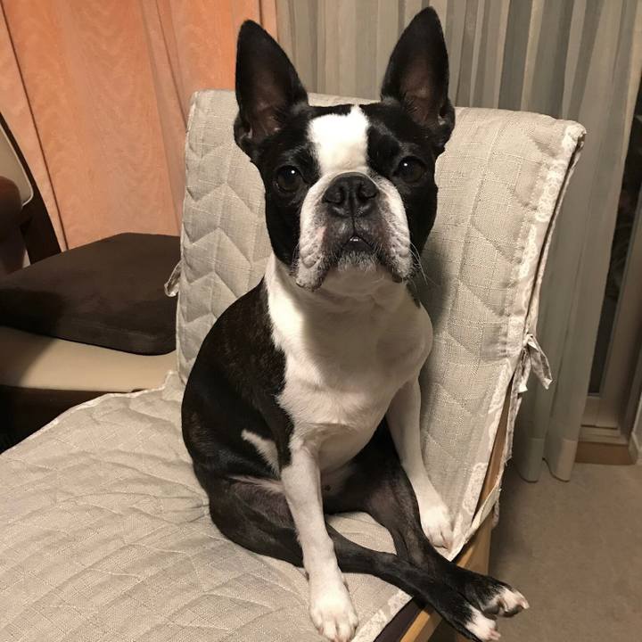 95efa7c0 bc82 4656 a0e4 73a07951e00f 1680864498733