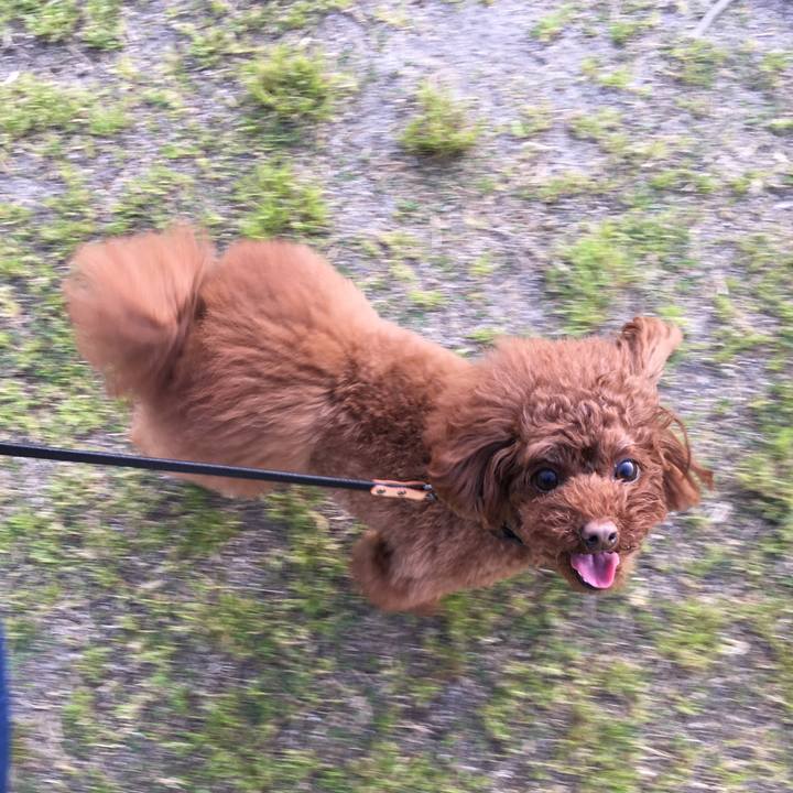 95efe247 60f9 4036 86a4 3cbc0c85ec64 1521157053325