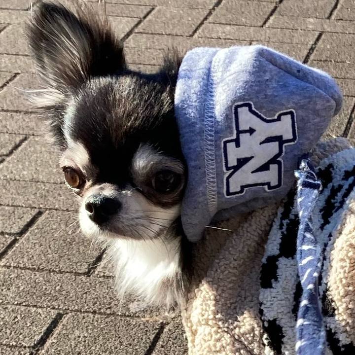 95f0186d a715 4653 8c8f 9d0af6c51234 1642823640125