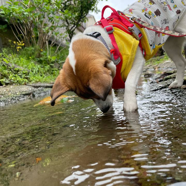 95f02516 0501 4740 b936 9b46b3b0a053 1680785962679