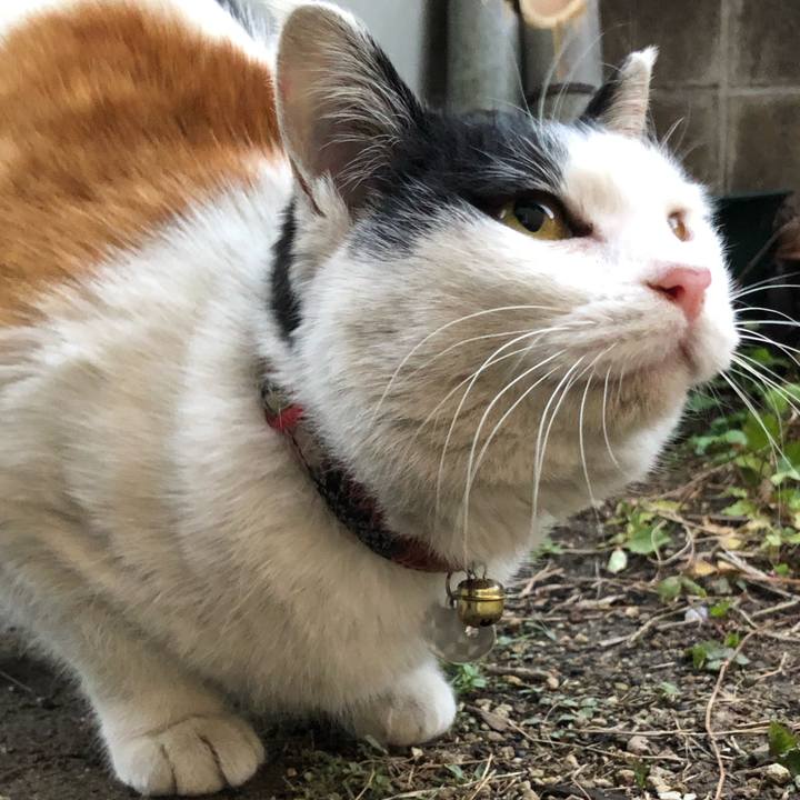 95f033ce d593 49ef 96de 4b6ea202f498 1611958842768