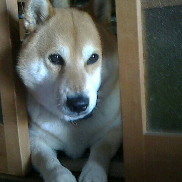 95f07b6a 0394 4ad6 b586 bca9bc412df2 1551764870998