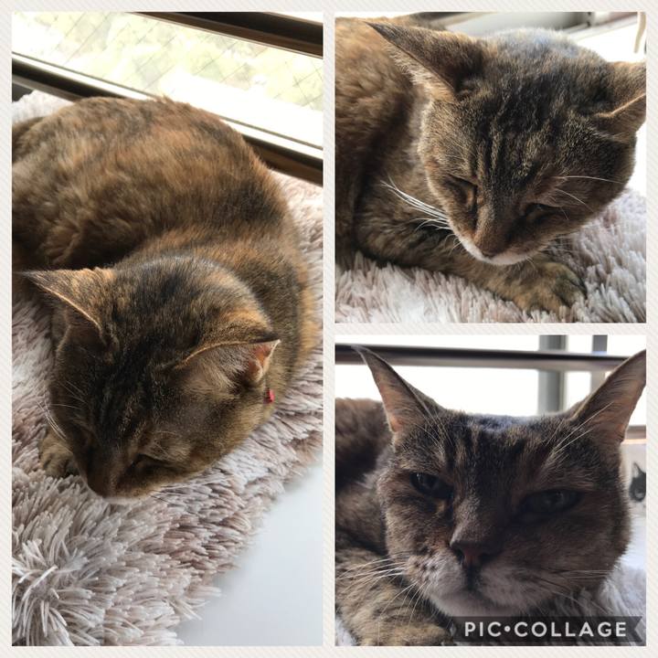 95f0bec6 af86 474c 92e9 f49d429bf44e 1532561281644